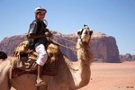2 Hour Camel Ride