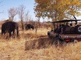 Full Day Hwange Safari