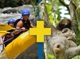 Sloth Sanctuary + Rafting class II & III Combo