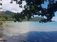 Full Day Tour in the Daintree 