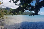 Full Day Tour in the Daintree 