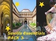 Essential Seville: Real Alcazar guided tour + Cathedral + Flamenco Show