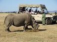 2 Days 1 night Olpajeta Conservancy - Ngare Ndare Forest