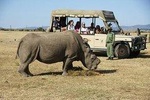 2 Days 1 night Olpajeta Conservancy - Ngare Ndare Forest