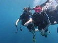 Portghalib Intro Diving Trip From Marsa Alam