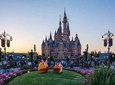 shanghai Disney+shanghai one day city highlights tour （two days）