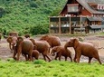 8 Days 7 Nights Luxury Safari By Jeep
