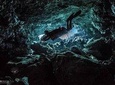 Cave diving courses package
