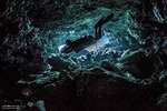 Cave diving courses package
