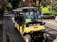 Kraków: Guided City Tour by Golf Buggy (free door to door service)