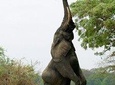 Southern Malawi Adventure 7Days/ 6 Nights