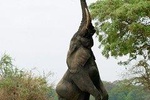 Southern Malawi Adventure 7Days/ 6 Nights