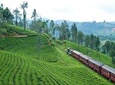 Nuwaraeliya Day Tour & Kithulgala Water Rafting With Holiday Walkers Sri Lanka