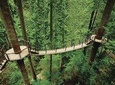 Best of Vancouver Highlights /Suspension Bridge/ Free Pizza Party Tour Private