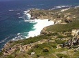 Private Tour with Wine Expert to Cape of Good Hope & Constantia Wine Region