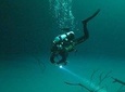 Diving in Angelita and Casa Cenotes from Riviera Maya