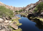 Hike to Cow Camp, Joshua Tree National Park, California