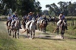 Field Day with Folklore and Roast
