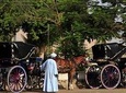 Horse carriage in Aswan