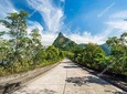 Tijuca Forest - Private Tour