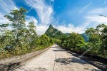Tijuca Forest - Private Tour