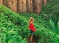Ella Day Trip ( Diyaluma Falls & Lipton Seat, Haputale)With Holiday Walkers 
