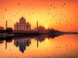Same day Taj mahal sunrise tour from delhi