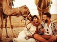 Agafay desert, Camel ride on sunset and Magical dinner