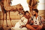 Agafay desert, Camel ride on sunset and Magical dinner
