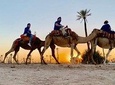 Camel ride in the sunset