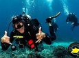 7 Fun Dives in Pemuteran (for certified divers) - Exploration in Menjangan Park