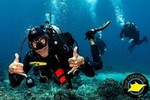 7 Fun Dives in Pemuteran (for certified divers) - Exploration in Menjangan Park