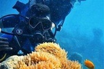 Boat Scuba Diving