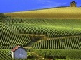 Epernay (World Capital Of Champagne) - Private Road Trip