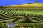 Epernay (World Capital Of Champagne) - Private Road Trip