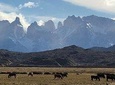 FULL DAY Torres del Payne from Puerto Natales