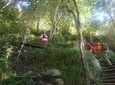 Nursery Ravine - Table Mountain
