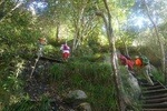 Nursery Ravine - Table Mountain