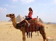 Half day tour to Giza pyramids & the great sphinx with camel ride