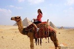 Half day tour to Giza pyramids & the great sphinx with camel ride