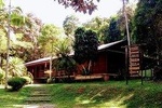 Rain Forest Trail - Cantareira Natural Park day tour from São Paulo