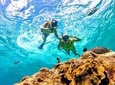 El Cielo Snorkel by Private Boat