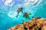 El Cielo Snorkel by Private Boat