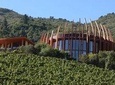 Colchagua Valley Experience 
