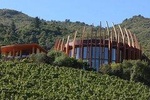 Colchagua Valley Experience 