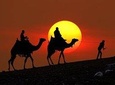 Sunset Camel Ride In Agafay Desert From Marrakech 