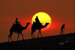 Sunset Camel Ride In Agafay Desert From Marrakech 