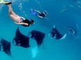 One Day Snorkeling + Land Tour Nusa Penida