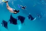 One Day Snorkeling + Land Tour Nusa Penida