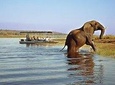 4 Days/ 3 Nights Victoria Falls & Hwange NP Adventure ( Budgeted)